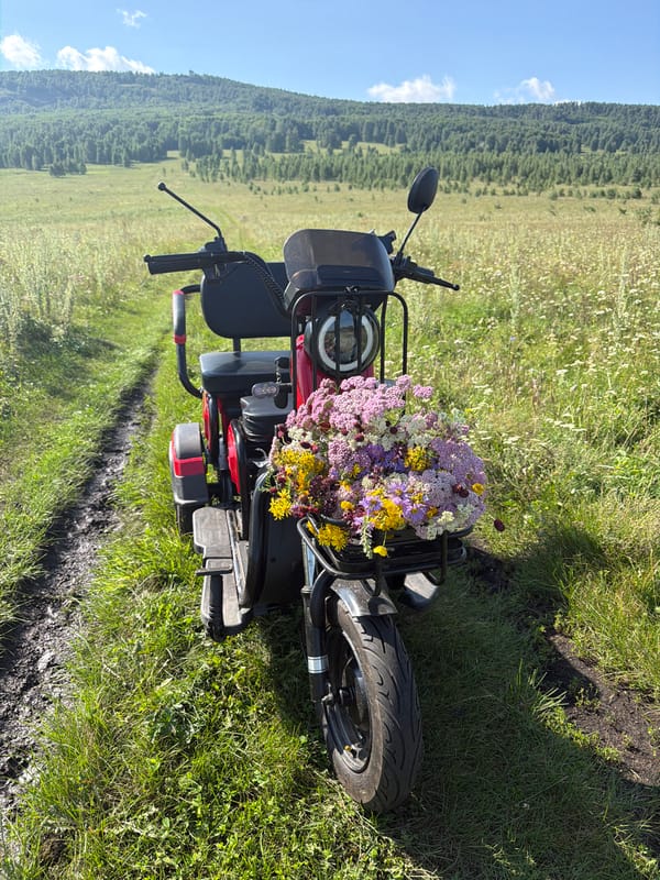 Wildflower haul on an e-scooter, somewhere sunny