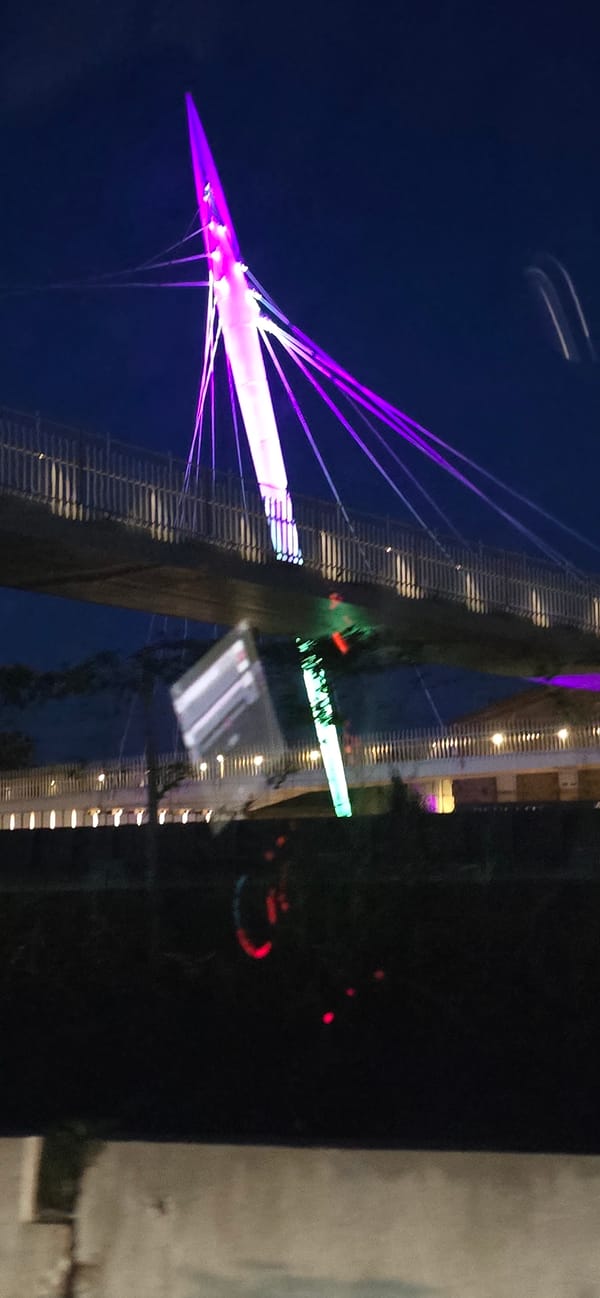 Night lights: a glowing bridge and a string-lit tree