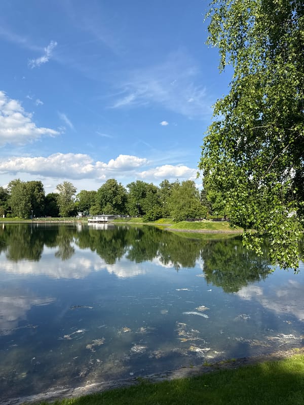 Sunny afternoon draws visitors to Moscow waterfront park