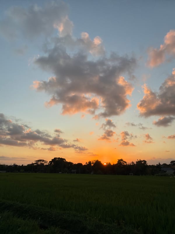 Golden hour wandering through North Kuta's rice paddy paths