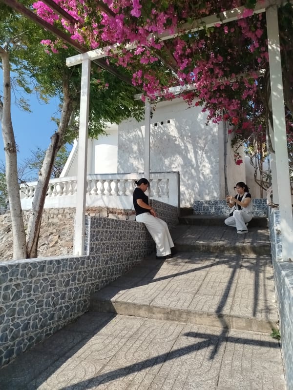 Two women photographed on flowered stairway in Ho Chi Minh City