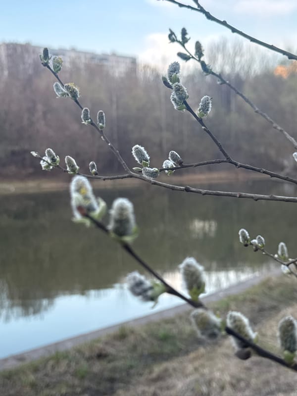 Man fishing near Moscow waterway with apartment buildings backdrop