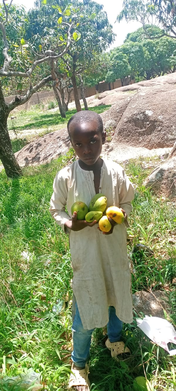 Children gather with fresh mangoes in Jos, Nigeria