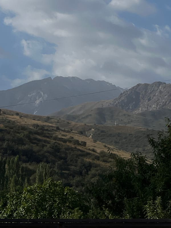 Morning details from a mountain-edged village in Uzbekistan