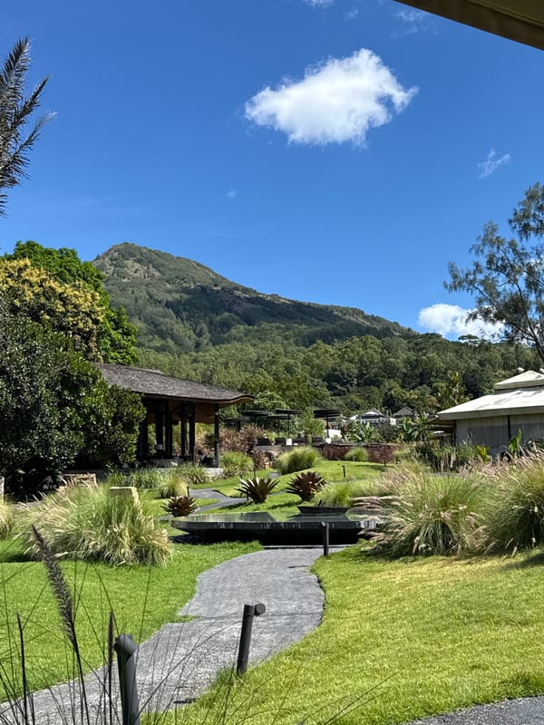 Early morning relaxation captured in Kintamani garden setting