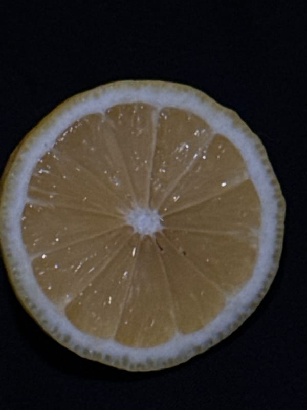 Lemon close-ups: still life and the sour bite
