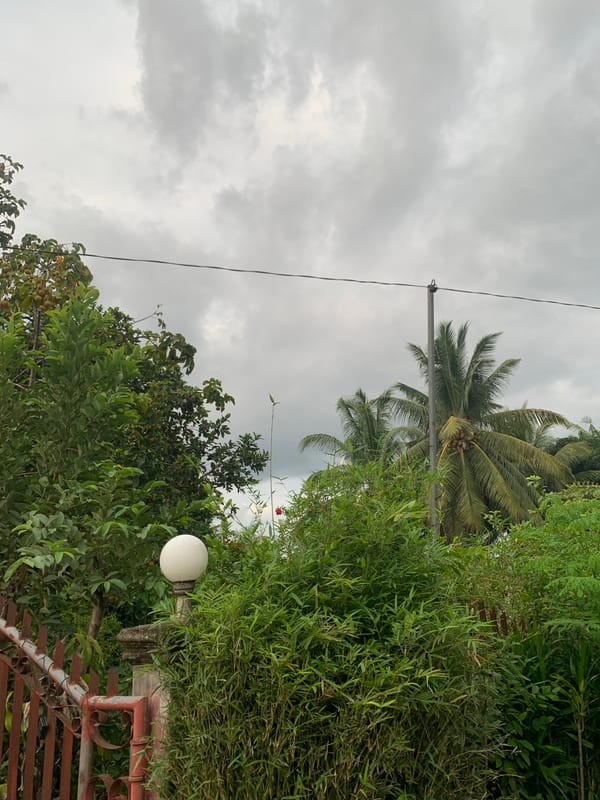 Children play in tropical rural setting in Kiblawan, Philippines