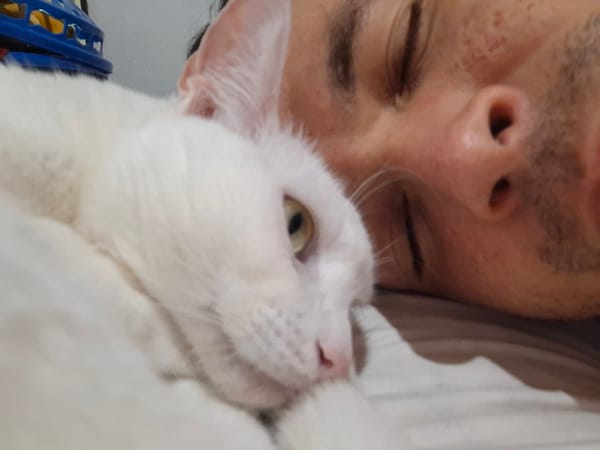 Evening street life captured in Buenos Aires suburbs