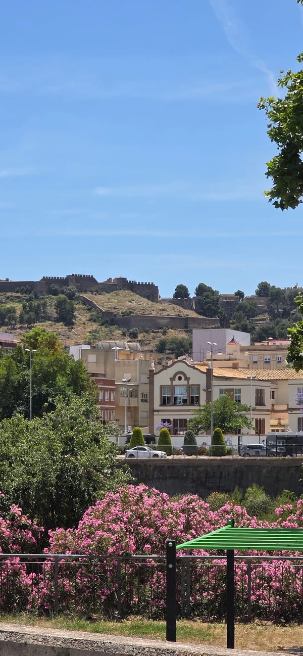 Witness documents four-minute walking tour through historic Sagunto streets