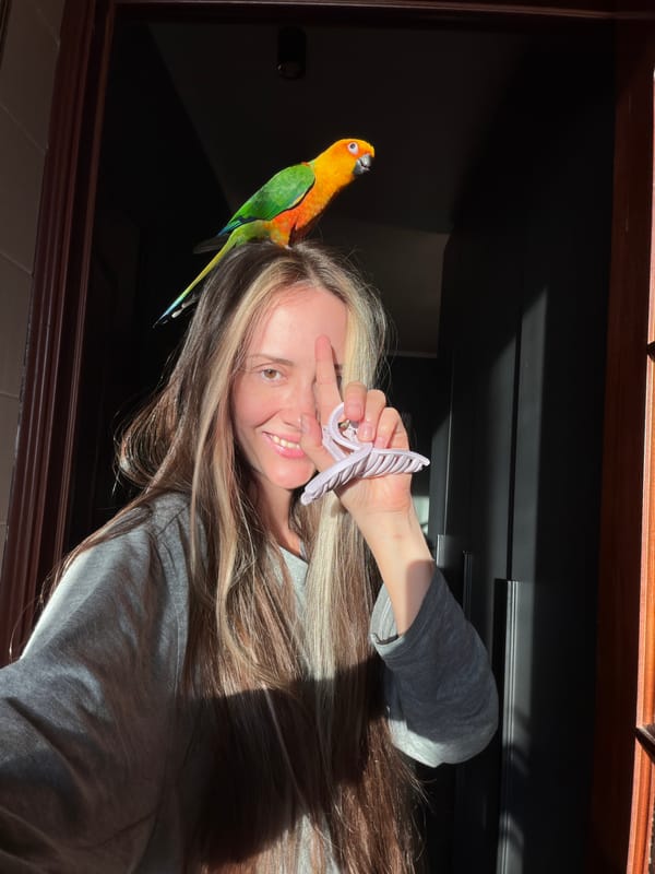 Woman documents playful moments with pet parrot in Khimki
