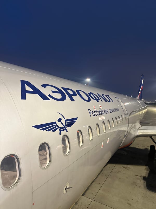 Evening moments captured in Khimki: airport scene, pet bedtime