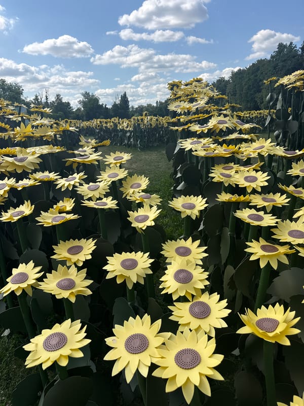 Artificial sunflower installation photographed in Kyiv