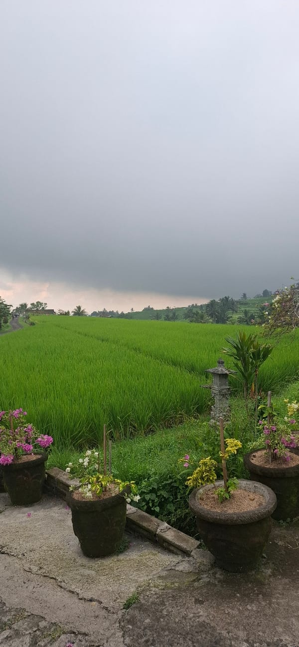 Rural Penebel documented: rice terraces, statues, daily life