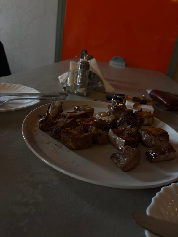 Diner documents meal experience at Novi Sad restaurant