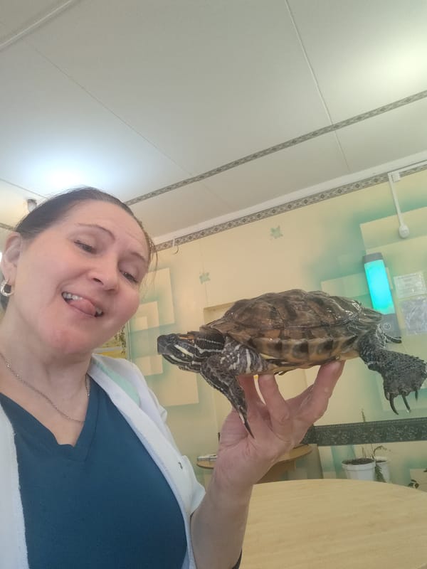Woman with turtle photographed at veterinary facility in Sarapul