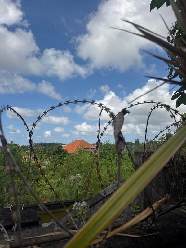 Slow morning at a Bali villa with tattoos, pets, and frangipani