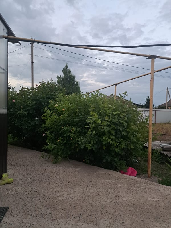 Witness documents garden flowers and rural scenes in Leningradskaya