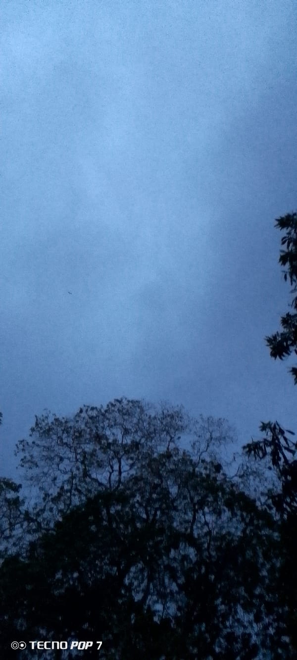 Nighttime rainstorm with strong winds in Altagracia, Venezuela