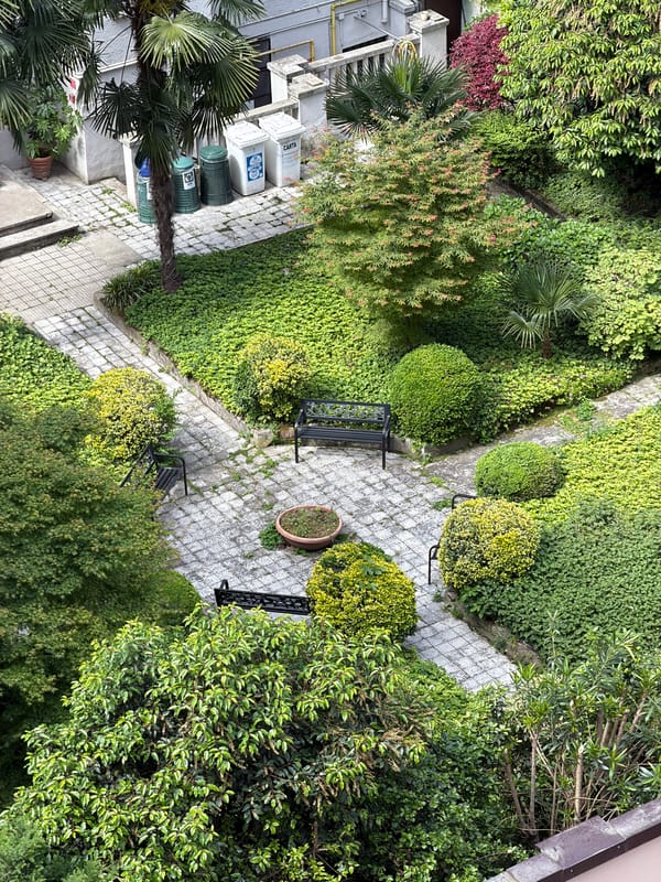 Morning scenes captured across residential Milan neighborhoods