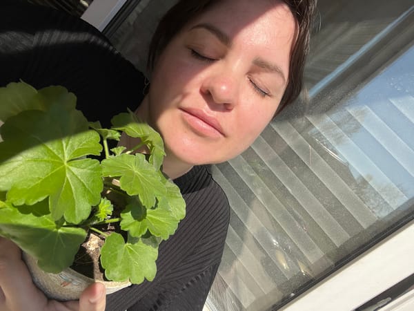 Morning domestic life documented in Noviy, Russia