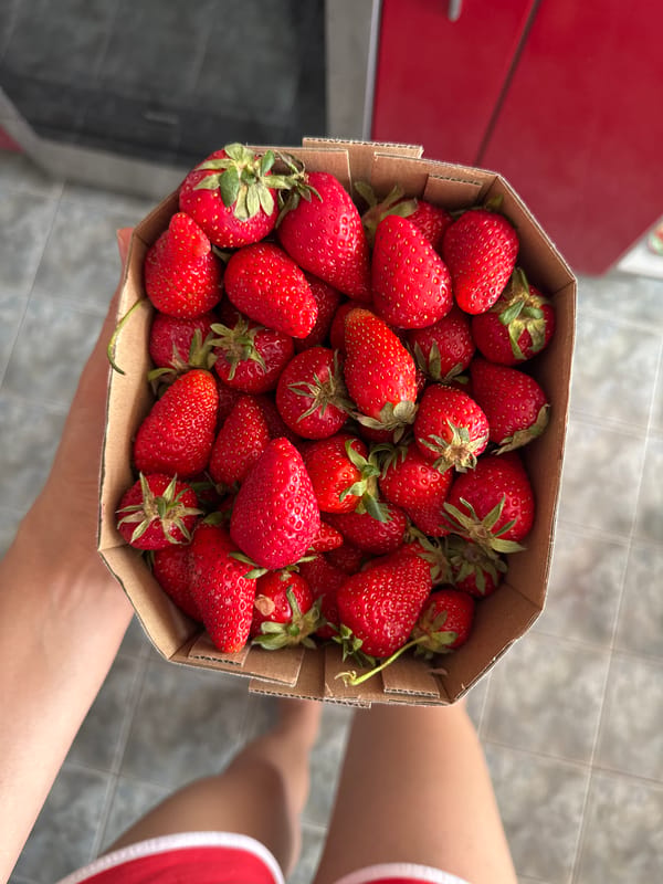 Strawberries, robot sculpture, library captured in Podgorica walkabout