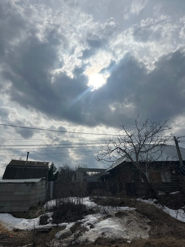 Morning light and bare trees observed in Chaikovsky, Russia