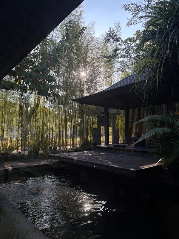 Traditional tea ceremony observed at Sukawati pavilion