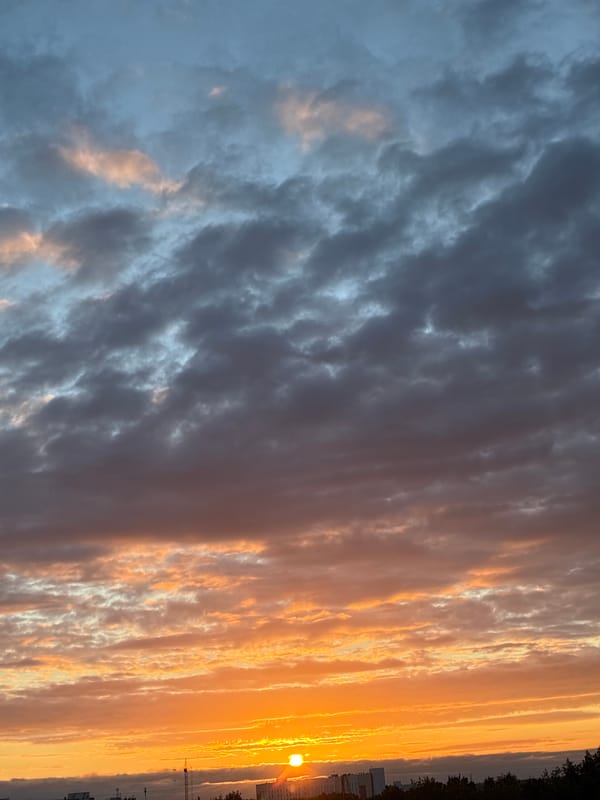 Dramatic city sunset caught from multiple angles