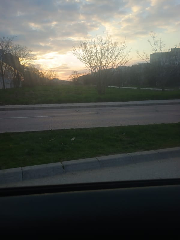 Dawn roadside view captured from vehicle near Varna Bulgaria