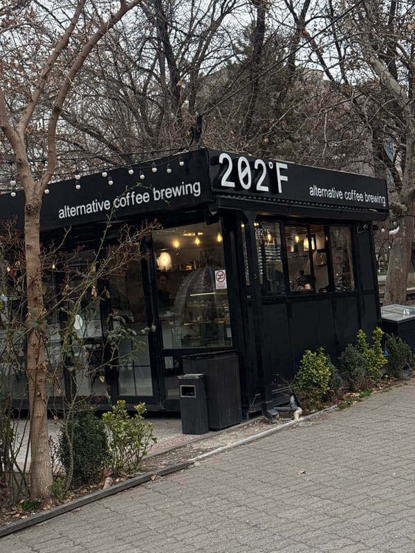 Casual afternoon documented across Yerevan cafes, restaurants and parks