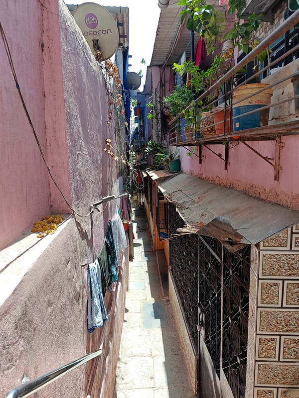 Early morning park gathering observed in Mumbai garden area
