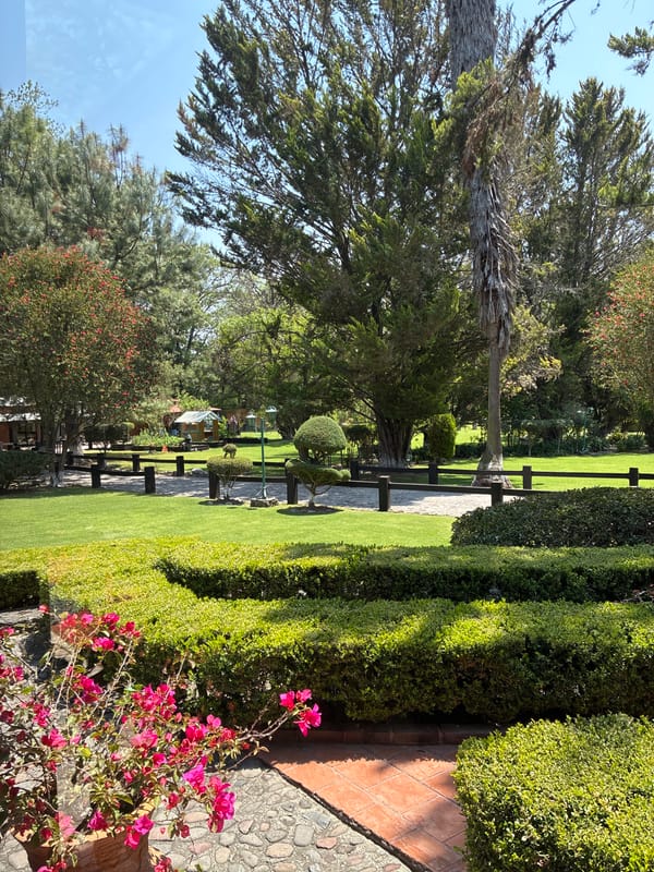 Residential property tour documented in Cañada de Madero, Mexico