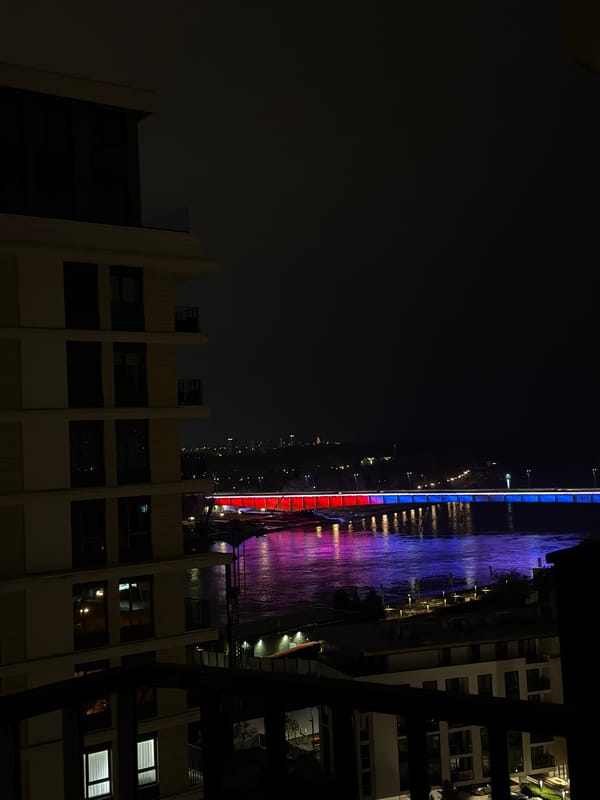 Belgrade Bridge Illuminated in Red, White, Blue at Night
