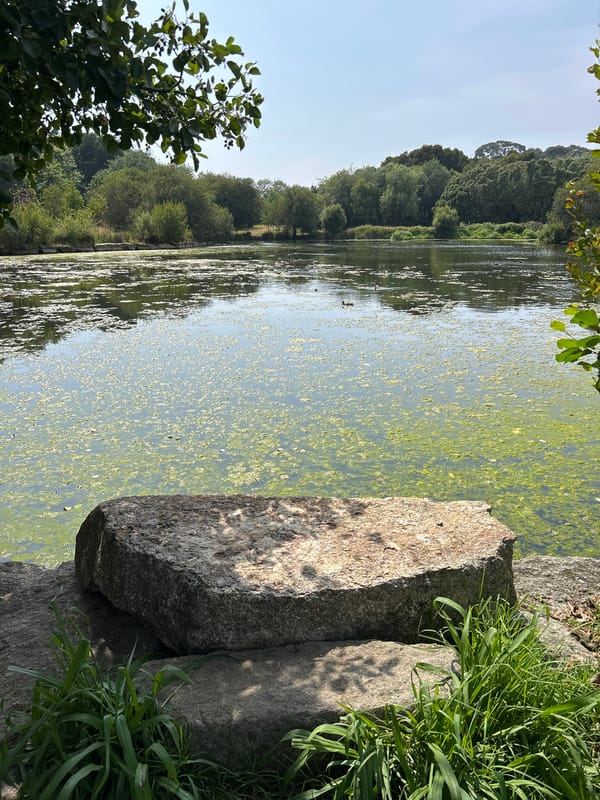 Quiet afternoon in Porto's Palácio de Cristal gardens