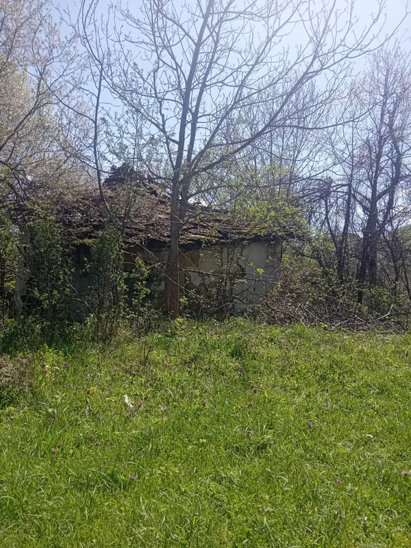 Witness documents spring walk through abandoned, nature-reclaimed settlement