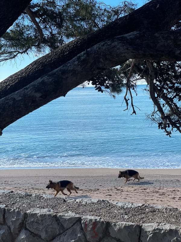 Morning coastal leisure activities captured in Montenegro's Adriatic towns