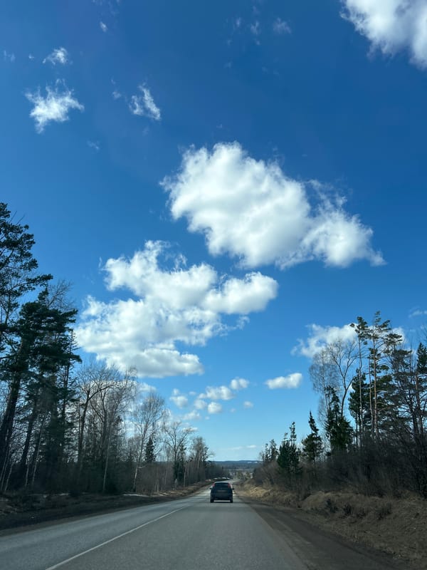 Car journey with child documented in Foki, Russia
