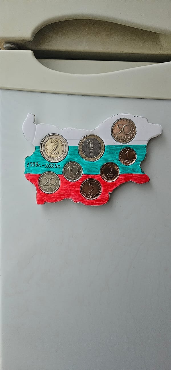 Home scenes in Sofia: Bulgaria magnet and wet Cocker Spaniel