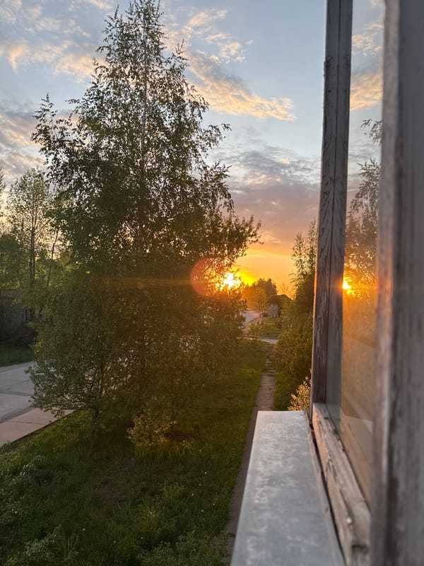 Sunset observed through window, trees silhouetted against orange sky