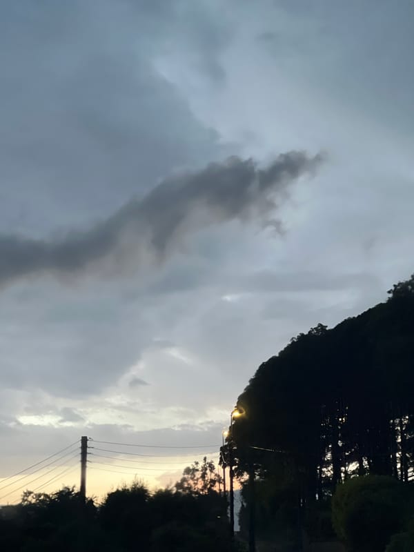 Wet evening roads and heavy skies in Mountcharles, Ireland