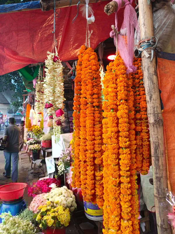 Flower vendor displays colorful blooms at Dhaka market