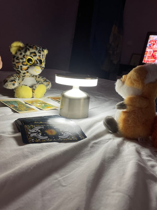 Tarot cards and plush toy arranged on bedroom in Bulgaria