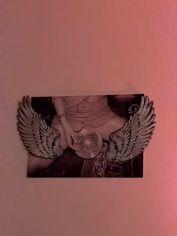 Artistic portrait with silver wings displayed on Berlin wall