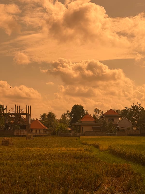 Morning scenes captured in Ubud's rice fields and streets