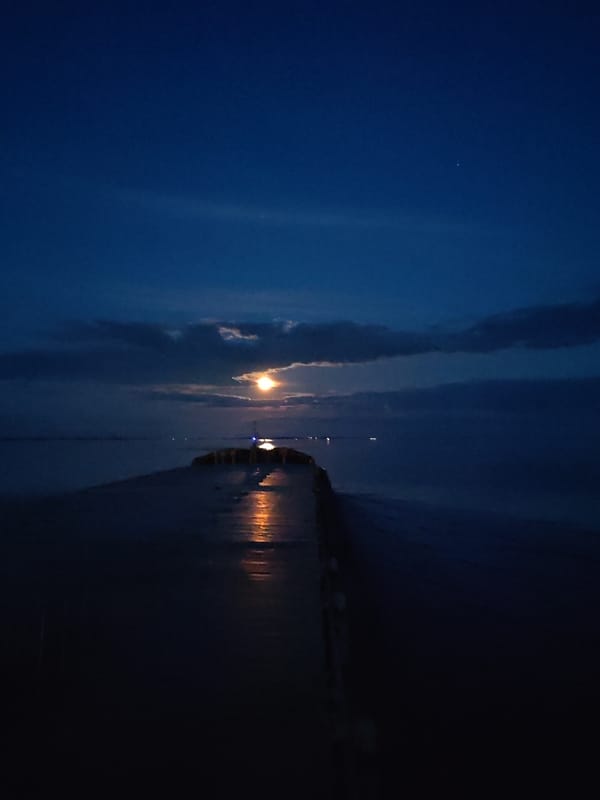 Full moon illuminates waterscape in Bol'shie Mkhi, Russia