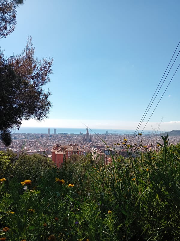 Aerial view captured of Barcelona coastline under clear skies