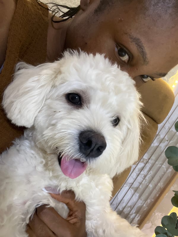 Lazy morning at home in Abuja with a hungry little dog