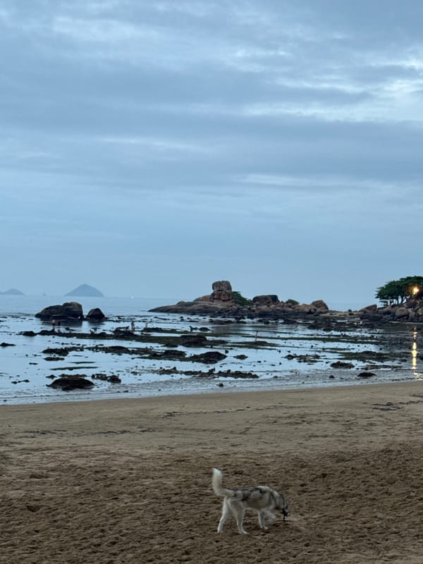 Ordinary life documented in Nha Trang during rainy morning