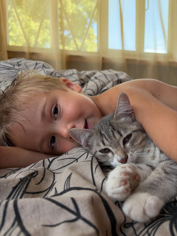 Lazy summer morning in rural Russia — cats, gardens, and riverside painting