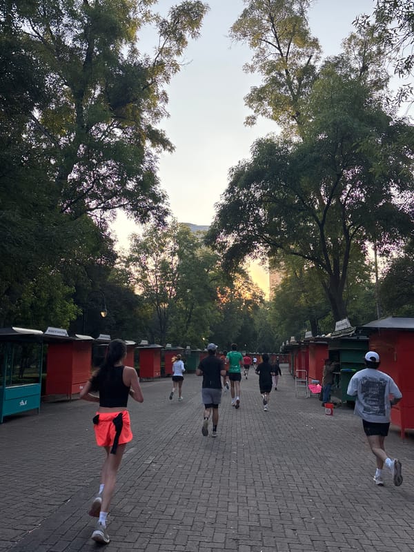 Joggers exercise along tree-lined Mexico City pathways near lake